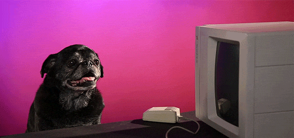 Dog Computer GIF by collin - Find & Share on GIPHY