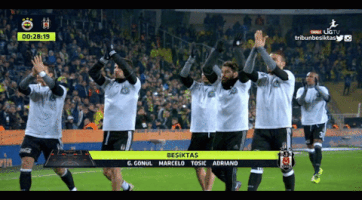Tribunbesiktas GIF