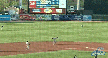 mad bad day GIF by West Michigan Whitecaps 