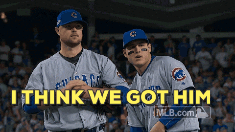 Go-cubs-go GIFs - Get the best GIF on GIPHY