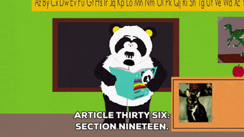 book panda GIF by South Park 