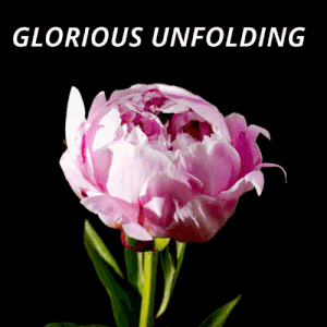 SurfDogRicochet  GIF