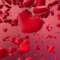 200.gif?cid=f0bdee70d0pqfnqb69fp5g6szfnqeuysgqxppitch927i9kd&rid=200.gif&ct=g