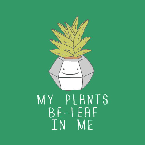 magickal plants for indoors