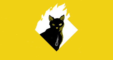 sasho  GIF