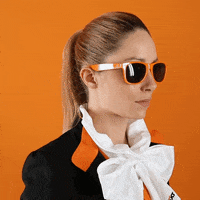Sunglasses Deal With It GIF by Sixt