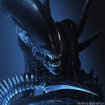 james cameron aliens GIF by foxhorror