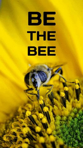 c2noyw1wbwljagvsqgdtywlslmnvbq work life the cinemagraph GIF