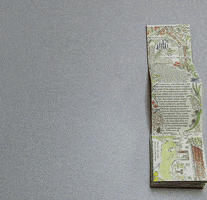 200.gif?cid=fc005b08697746f36a1e62364ac20207da7fc8358b84b296&rid=200.gif&ct=g
