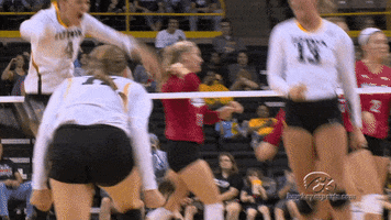 Iowa Hawkeyes Volleyball GIF by University of Iowa Hawkeyes Athletics
