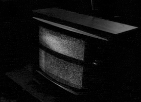 maxniederhofer hplus GIF