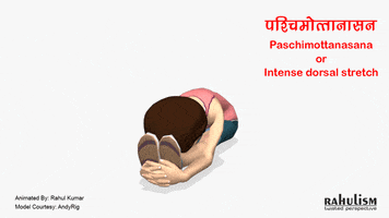 askrahulk fitness yoga asana yogapose GIF