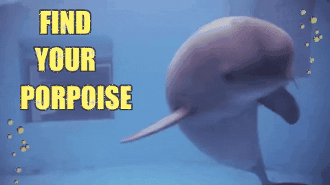 Your Purpose GIFs - Get the best GIF on GIPHY