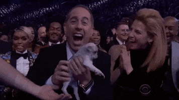 Excited Grammy Awards GIF by Recording Academy / GRAMMYs