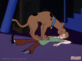 Dog Love GIF by Scooby-Doo