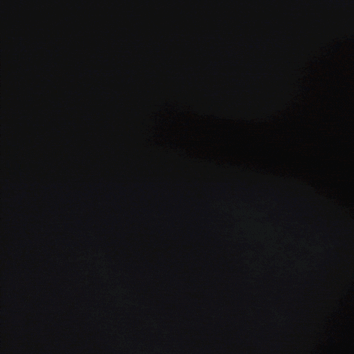 Construction Helmet GIF by DeBouwmaakthet