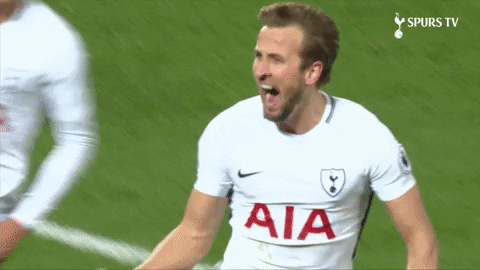Harry Kane Sport GIF by Tottenham Hotspur - Find & Share on GIPHY