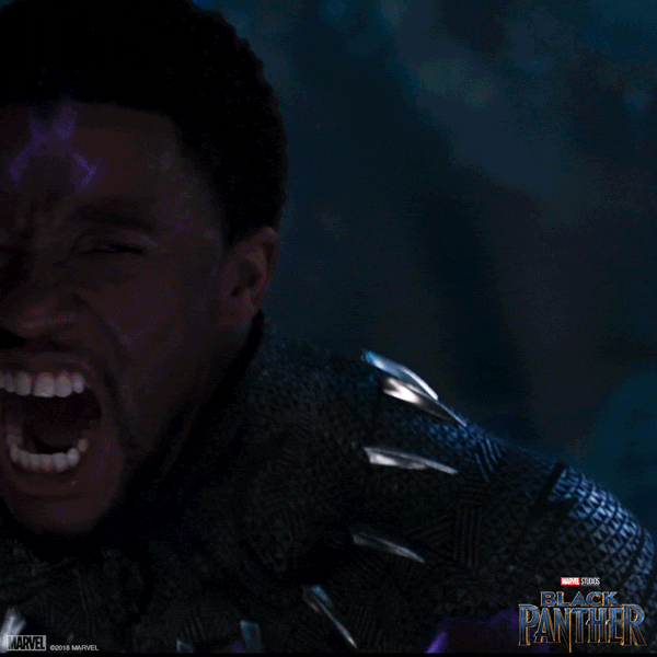 Black Panther Wakanda Forever GIF by Marvel Studios