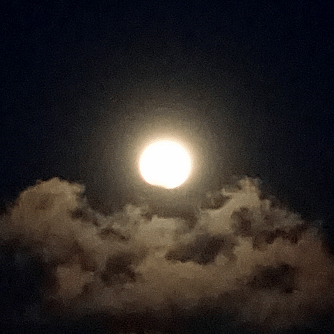 Full Moon GIF