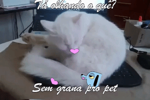 Gato De Botas Garfield GIF