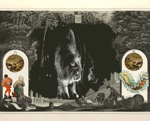 ASMABRATH animated GIF