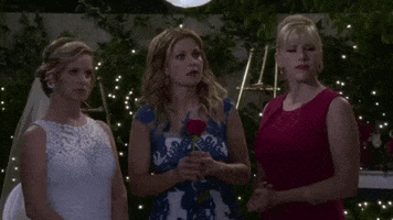 113 GIF