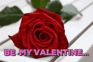 eastvaleteamgmailcom  GIF