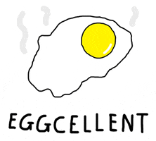 Egg Pun GIF by yippywhippy