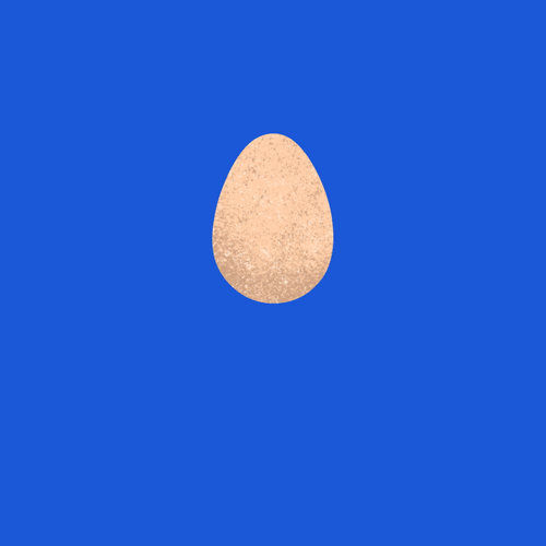 Egg GIF by Jonah Ainslie - Find & Share on GIPHY