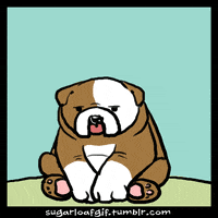 Bulldog Illustration Gifs Get The Best Gif On Giphy