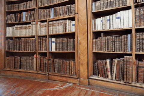 Books Door GIF