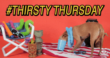Video gif. Dog with its face in a blue bucket, wearing a blue lei next to tiki decorations and a beach chair. Text, "[hashtag] Thirsty Thursday."