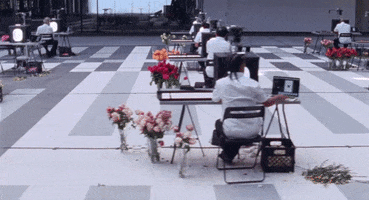 art flowers GIF by NOWNESS