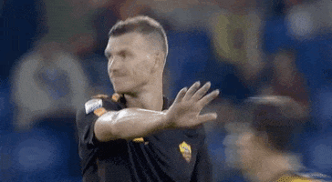 serie a no GIF by AS Roma