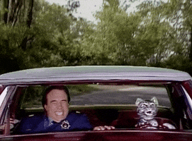toonces the driving cat GIF by Saturday Night Live