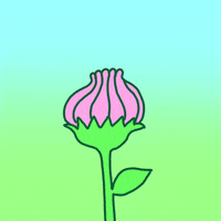 Flower Hello GIF by GIPHY Studios Originals