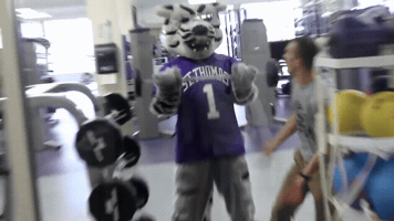 uofstthomasmn  GIF