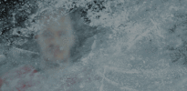 #Koelnerhaie #Del #Torschuetze GIF by Kölner Haie