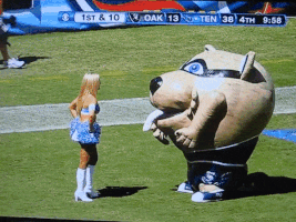 MakinFootballGifs  GIF