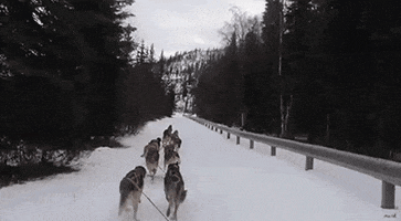 200.gif?cid=fc005b0839b70dd55b1b4995ce7c71c8bd045cd1874b751e&rid=200.gif&ct=g