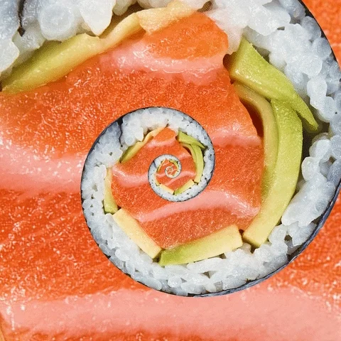 sea life japan GIF by Feliks Tomasz Konczakowski