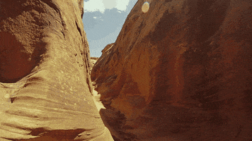 grand staircase GIF by Earthjustice