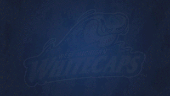 Wave Hello GIF by West Michigan Whitecaps 