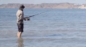 Fishing GIF by Epicly Later'd
