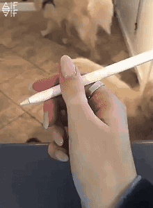 tobiasgallmetzer  GIF