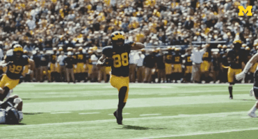 Excited College Football GIF by Michigan Athletics