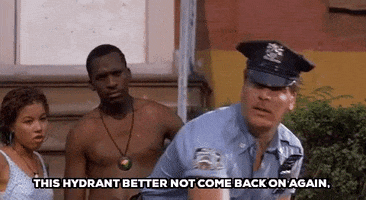 do the right thing police GIF