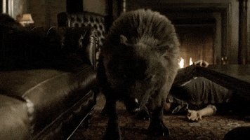 wolf attack GIF by SYFY