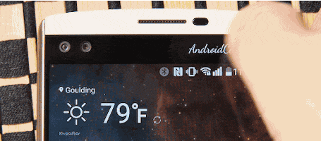 lorenzofaccialibro  GIF