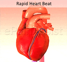 Viagra rapid heart beat